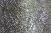 Godden Green fibreglass roof work